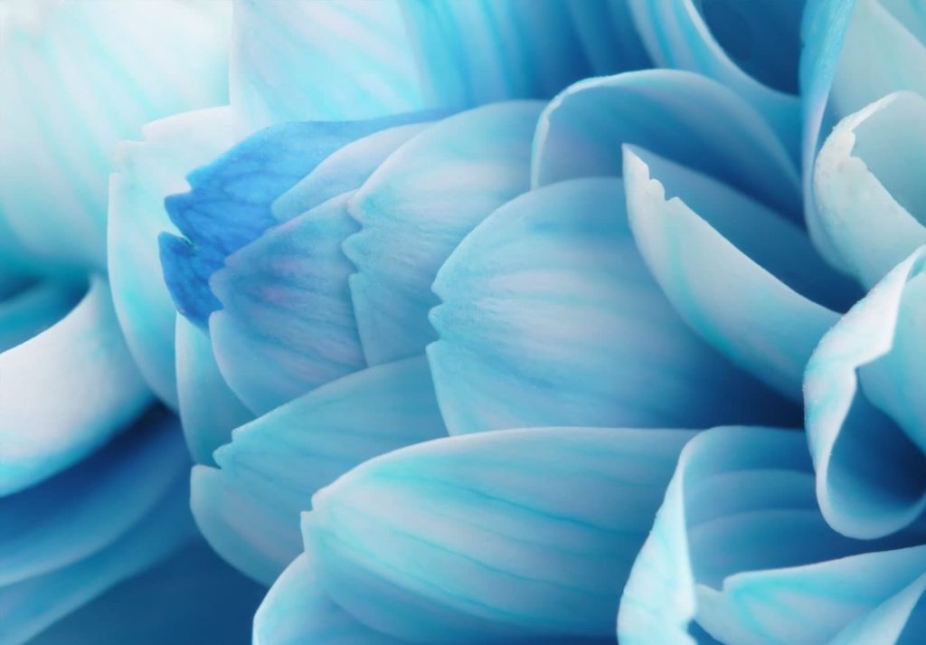 SEI-Fachschule-psychologische-Beratung-Coaching-SEI-Workshop-Fallbesprechung